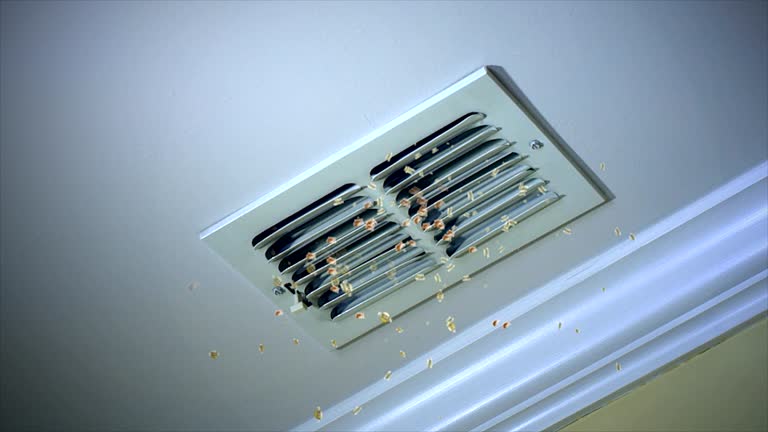 Best Dryer Vent Cleaning Services  in Exmore, VA